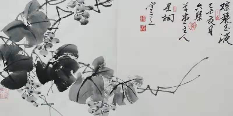 suncitygroup太阳集团