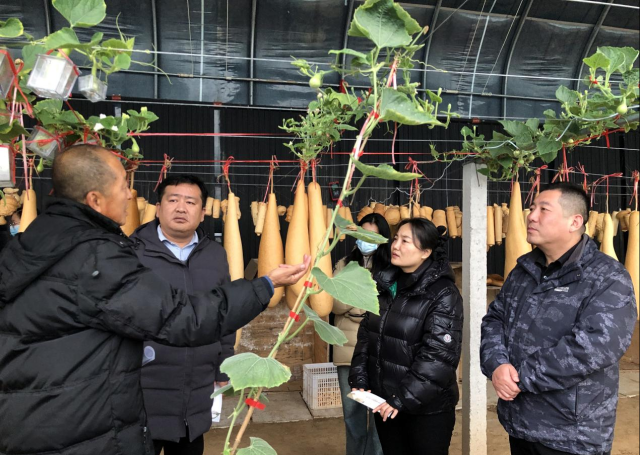 suncitygroup太阳集团