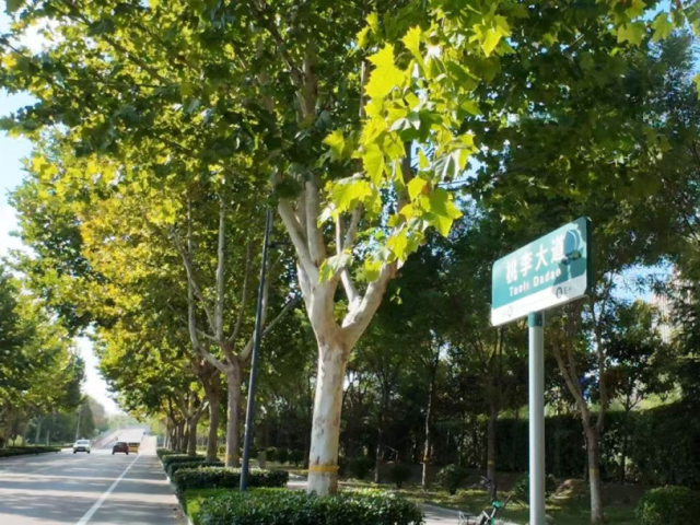 suncitygroup太阳集团
